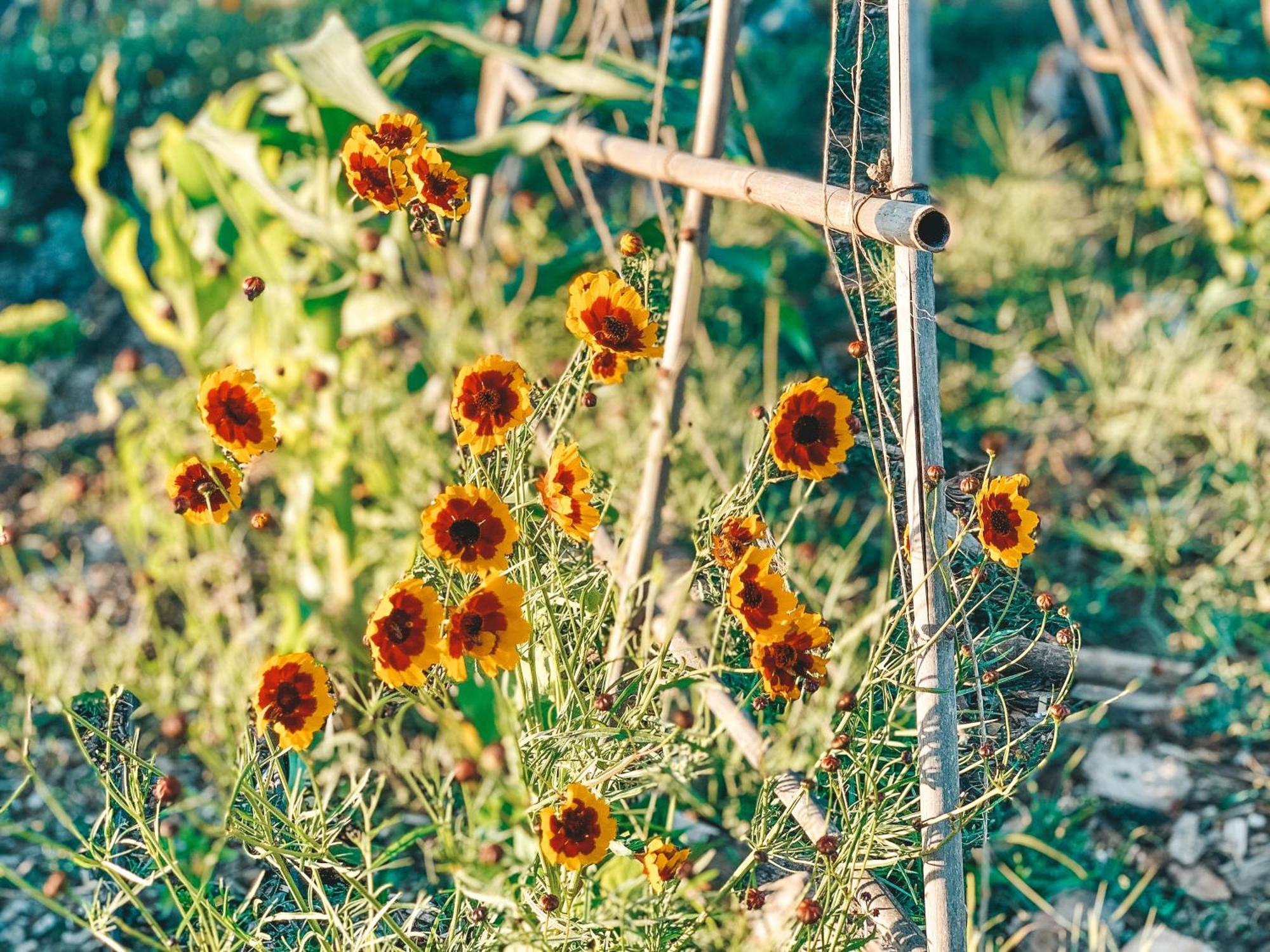 Stay At Pachamama Community Alcácer do Sal Camera foto